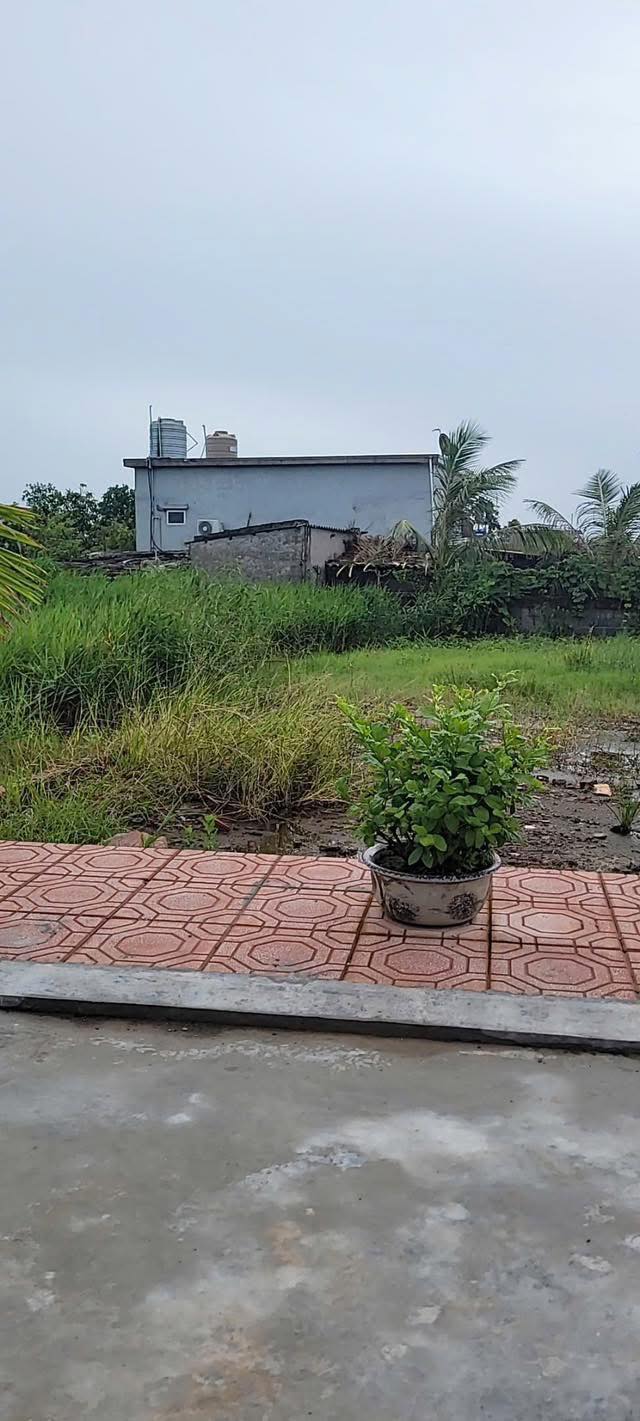 Đất Giao Yến, Giao Thủy 135m² - Đường nhựa ô tô tránh nhau, giá thỏa thuận!