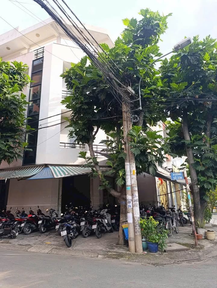 Nhà góc Đường 34, Bình Trị Đông B, Bình Tân 126m² giá 23 tỷ - Gần AEON Mall chỉ 1 phút!