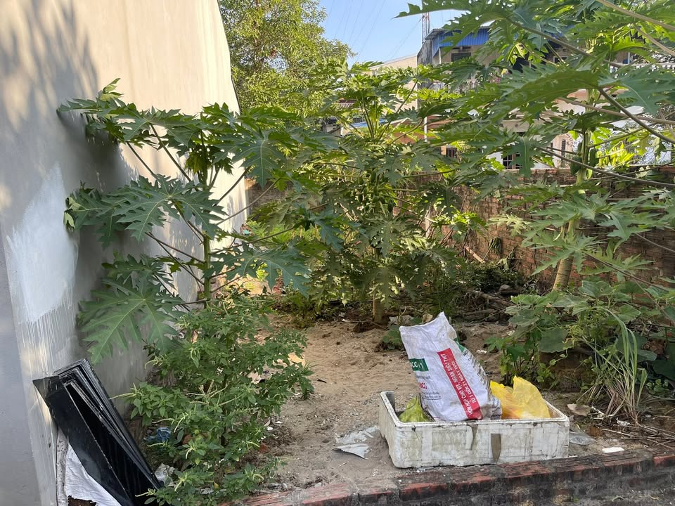 Lô đất vàng Phù Linh, Sóc Sơn 88m² giá 2.2 tỷ - Cơ hội đầu tư sinh lời cao!