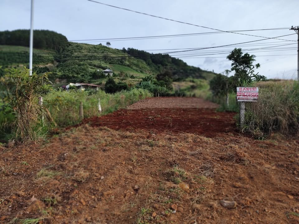 Đất nền Nam Ban Lâm Hà 500m² giá 3.3 tỷ - Nền cao, không ngập úng!