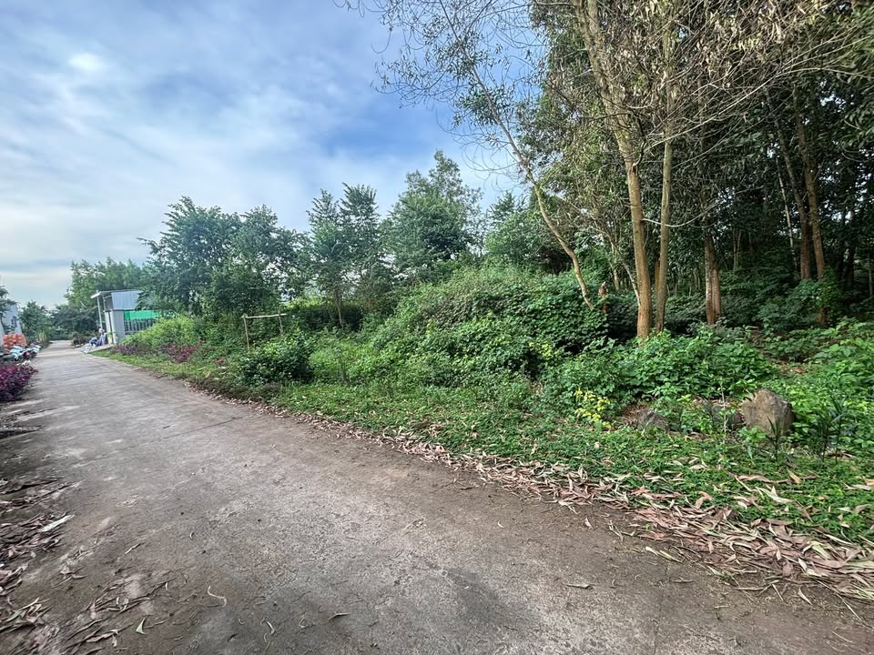 Đất nền Phú Vinh, Định Quán 390m² giá 2.5 tỷ - Sổ đỏ chính chủ!