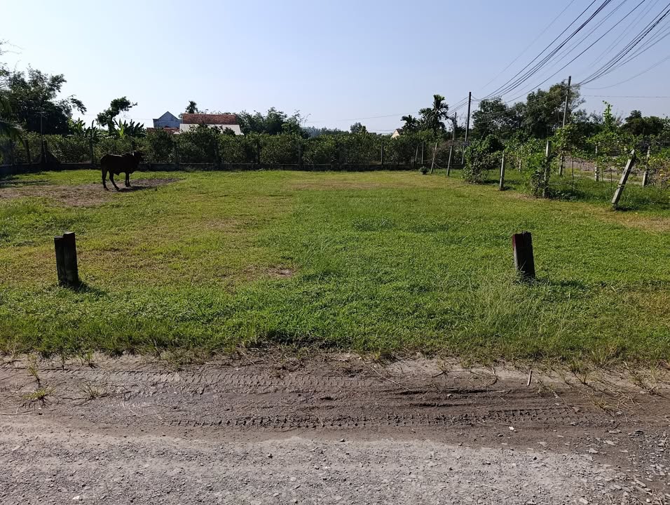 Đất thổ cư Kp Lộc Trác, Trảng Bàng 120m² giá chỉ 700 triệu - Đầu tư sinh lời ngay!