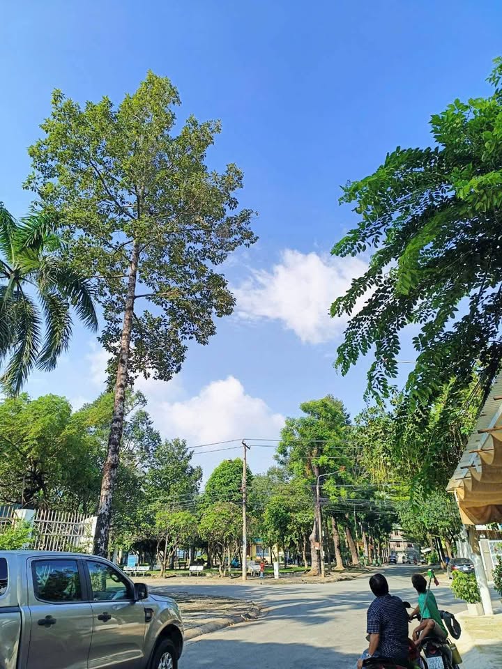 Chung cư An Bình Biên Hòa 2PN giá 4 triệu - Nội thất đầy đủ cho thuê ngay!