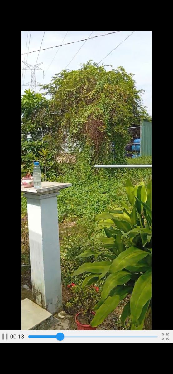 Lô đất 848m² tại Phước An, Nhơn Trạch - Sổ đỏ chính chủ, giá chỉ 4.2 tỷ!