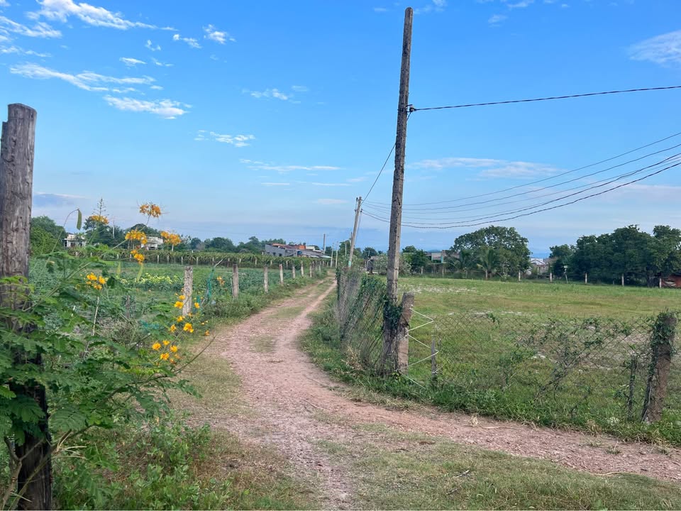 Đất cây trồng lâu năm tại xã Hồng Liêm 8925m² giá 300 triệu - Vị trí đẹp, ô tô vào tận nơi!