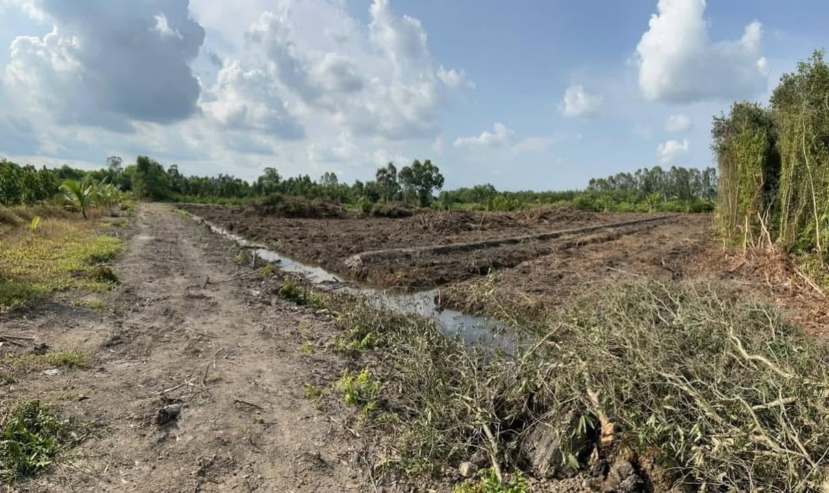 Đất nền Mộc Hóa 5000m² - Giấy tay công chứng, giá thỏa thuận!