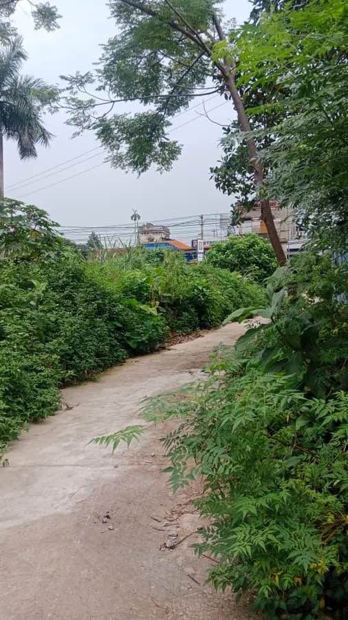 Bán đất nền 3.680m² tại xã Thịnh Đức, TP. Thái Nguyên - Tiềm năng đầu tư lớn!