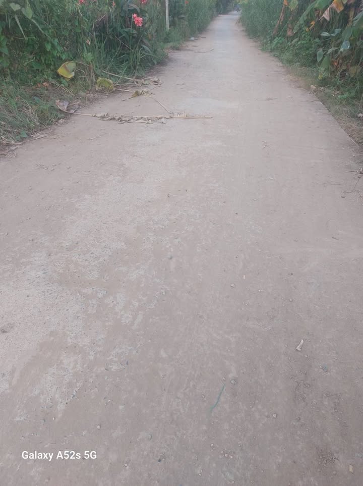 Đất nền xã Cái Nhum, Vĩnh Long 87.3m² giá 350 triệu - Gần chợ tiện lợi!