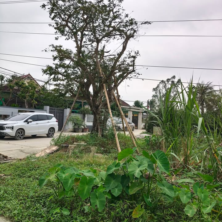 Đất nền Hưng Đạo Hưng Nguyên 100m² giá 2 tỷ - Tiềm năng đầu tư cao!