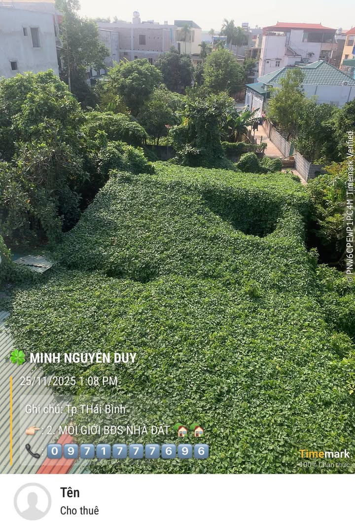 Đất mặt đường Lý Bôn, Thái Bình 100m² - Cơ hội đầu tư tuyệt vời!