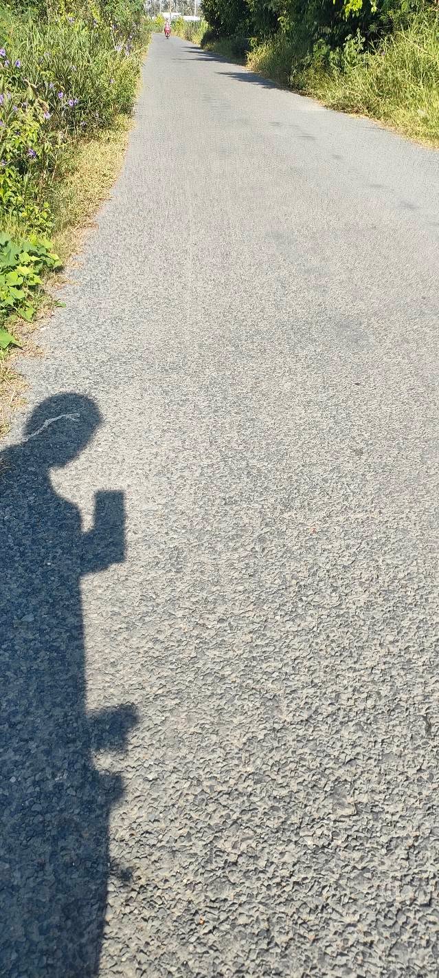 Đất nền Vĩnh Hựu Gò Công Tây 155m² giá 300 triệu - Cơ hội đầu tư hấp dẫn!