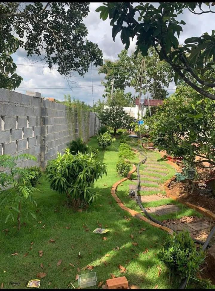 Bán nhà vườn xã Phú Lợi Dĩ An 3600m² giá chỉ 1.6 tỷ - Đầu tư sinh lời tuyệt vời!