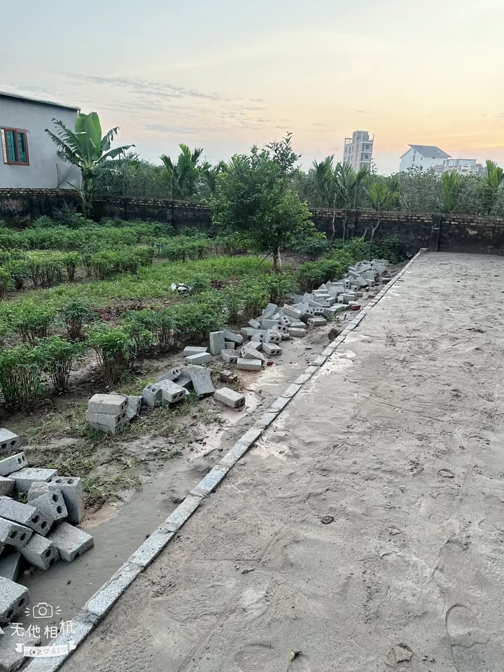 Đất nền Liên Nghĩa Văn Giang 67m² giá 2 tỷ - Đầu tư sinh lời ngay!