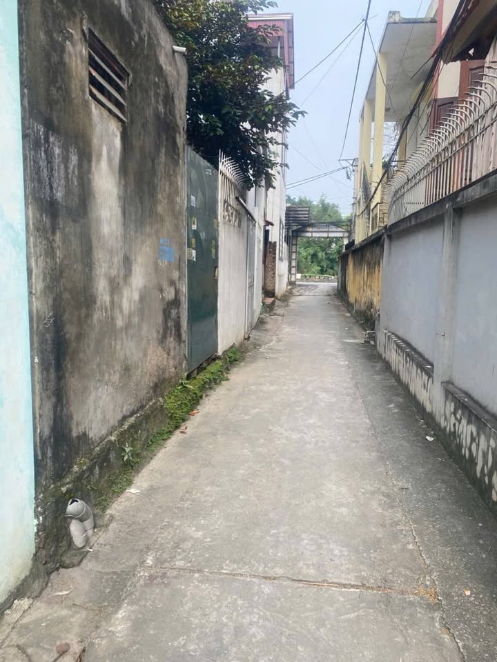 Đất nền Tả Thanh Oai 48m² giá 5 tỷ - Mặt ngõ ô tô vào tận nơi!