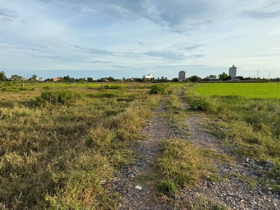 Đất CLN Hàm Chính 440m² giá 1xx triệu - Đường rộng ô tô vào tận nơi!