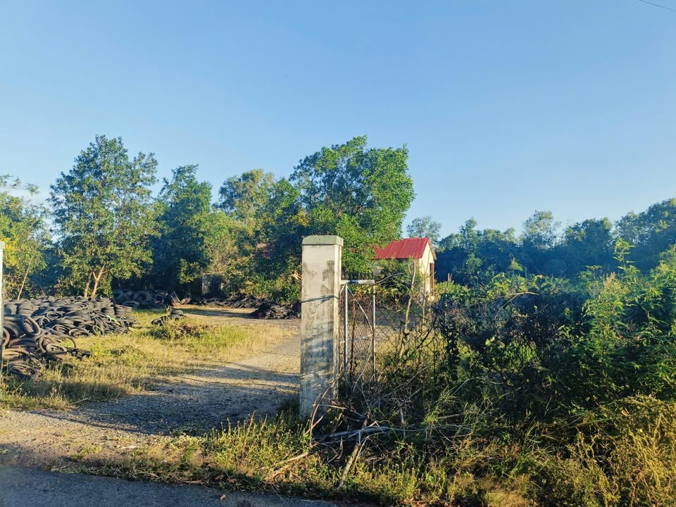 Đất nền Phước Thuận, Xuyên Mộc, Bà Rịa - Vũng Tàu 6600m² giá 16 tỷ - Cơ hội đầu tư tuyệt vời!