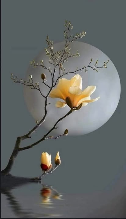 Nhà riêng 3 tầng Bình Trưng Đông, Thủ Đức 52m² giá 5.75 tỷ - Thiết kế hiện đại, ô tô vào tận sân!