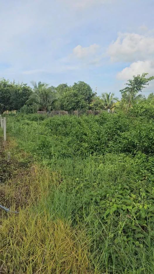 Đất thổ cư Thành Long, Châu Thành 144m² giá 4 triệu/m² - Đầu tư sinh lời!