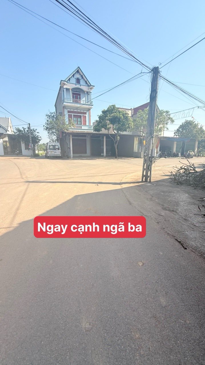 Đất đẹp mặt tiền 10m Đông Phú Lục Nam 250m² giá chỉ 1.3 tỷ - Cơ hội đầu tư hấp dẫn!