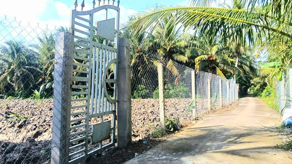 Đất vườn Thạnh Hòa, Châu Thành 1.715m² giá 1.95 tỷ - Phong thủy tài lộc đắc địa!