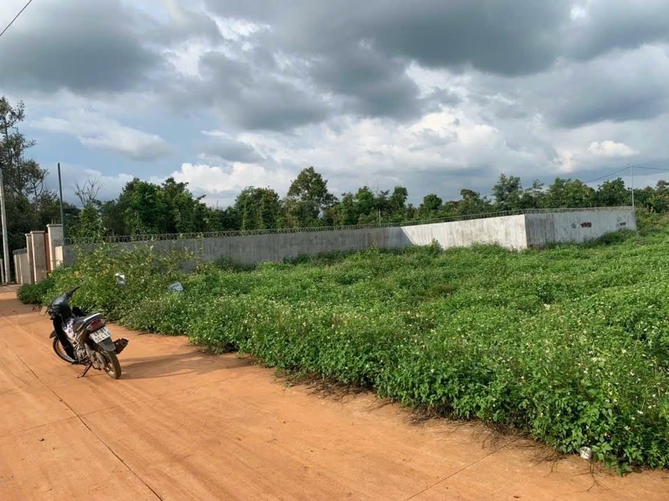 Đất nền Tân Lập Buôn Ma Thuột 125m² giá 1.25 tỷ - Đầu tư sinh lời ngay!