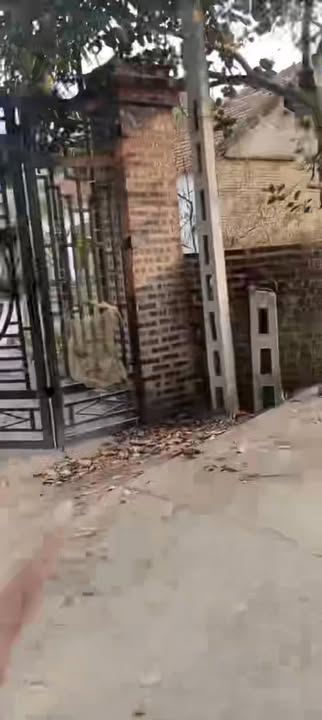 Đất trang trại Ngọc Thanh Phúc Yên 2000m² - Không gian nghỉ dưỡng lý tưởng!