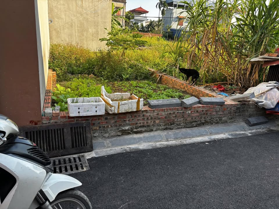 Đất thổ cư Đình Trung, Đông Anh 41.4m² giá 3 tỷ - Ô tô đỗ cửa, giao dịch nhanh!