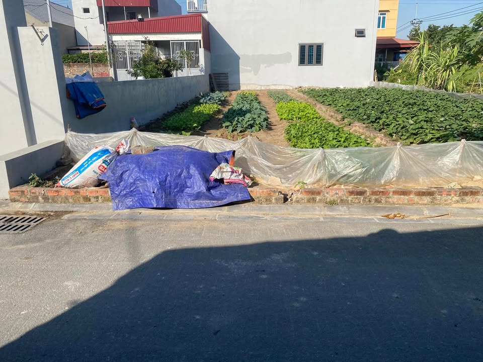 Đất thổ cư 100m² Thôn Đình Trung, Đông Anh giá chỉ 6 tỷ - Cơ hội đầu tư sinh lời!