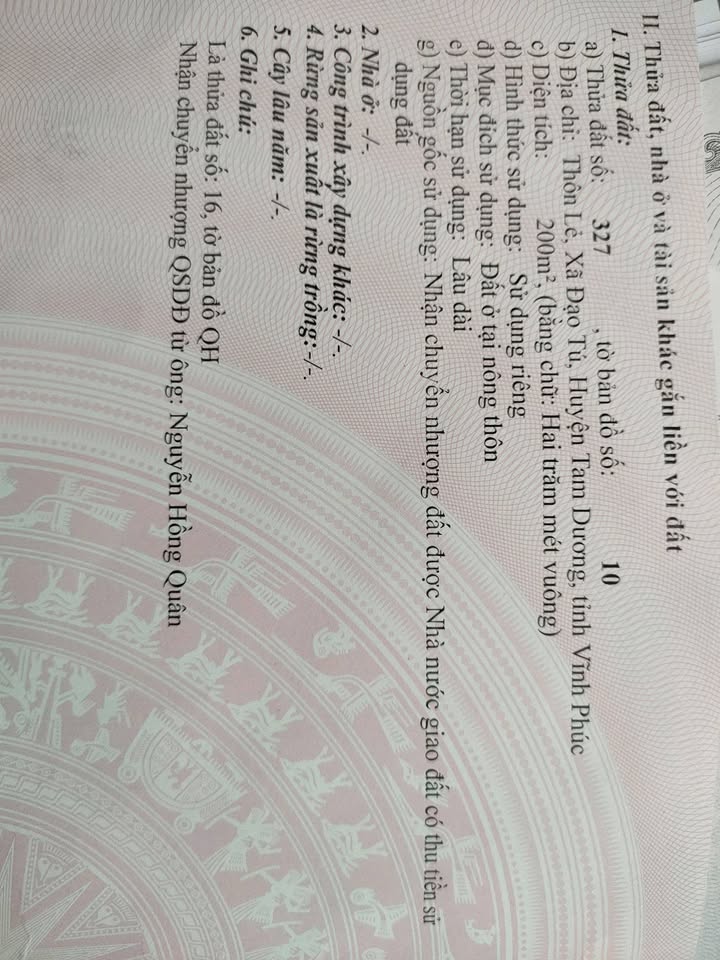 Đất thổ cư 200m² Đạo Tú, Tam Dương - Chính chủ, giá thỏa thuận!