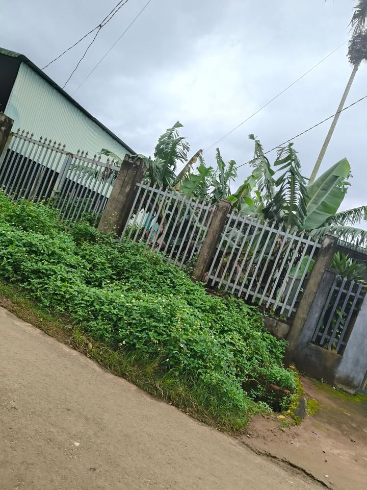 Đất mặt tiền Ngô Thì Nhậm, Đạt Hiếu 245m² giá 1.85 tỷ - Đầu tư sinh lời ngay!