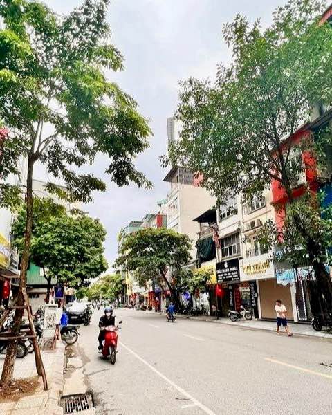 Nhà mặt phố An Trạch, Cát Linh 62m² giá 31.5 tỷ - Kinh doanh sầm uất!