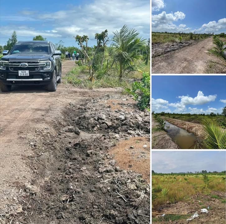 Đất vườn 1000m² tại xã Tân Thành, Thủ Thừa - Giá chỉ 580 triệu, đầu tư lý tưởng!