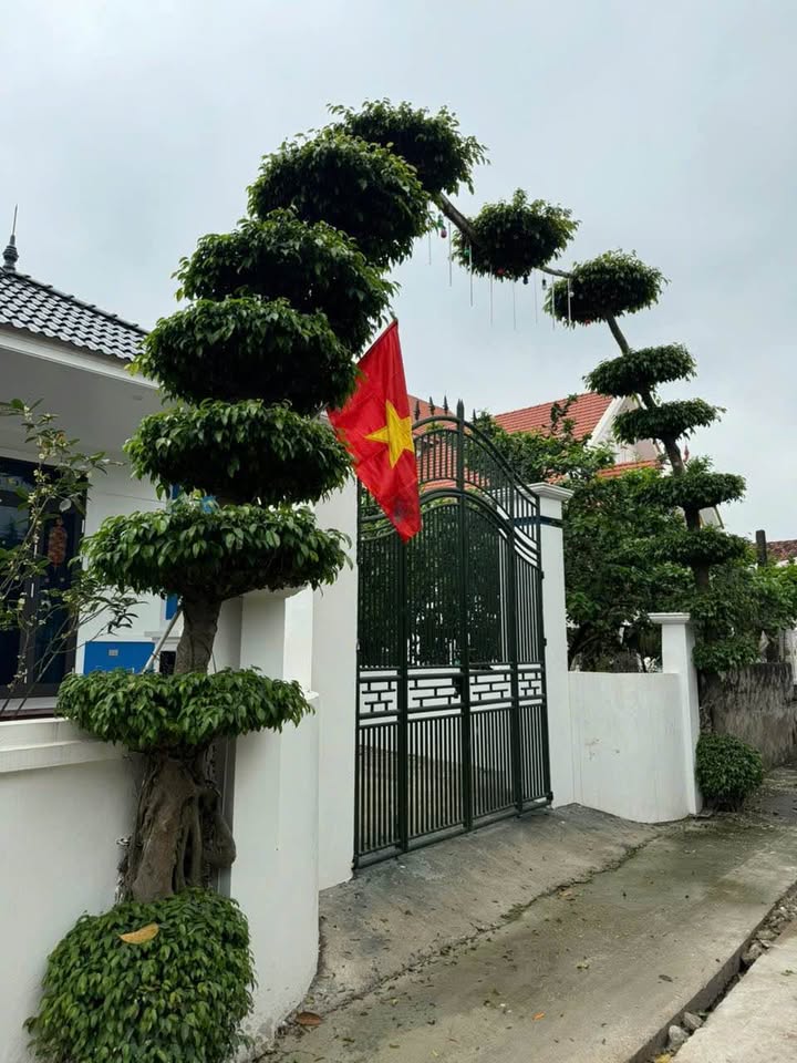 Đất Vân Hà Đông Anh 104m² giá 2 tỷ - Ô tô đỗ cửa, dân cư đông đúc!