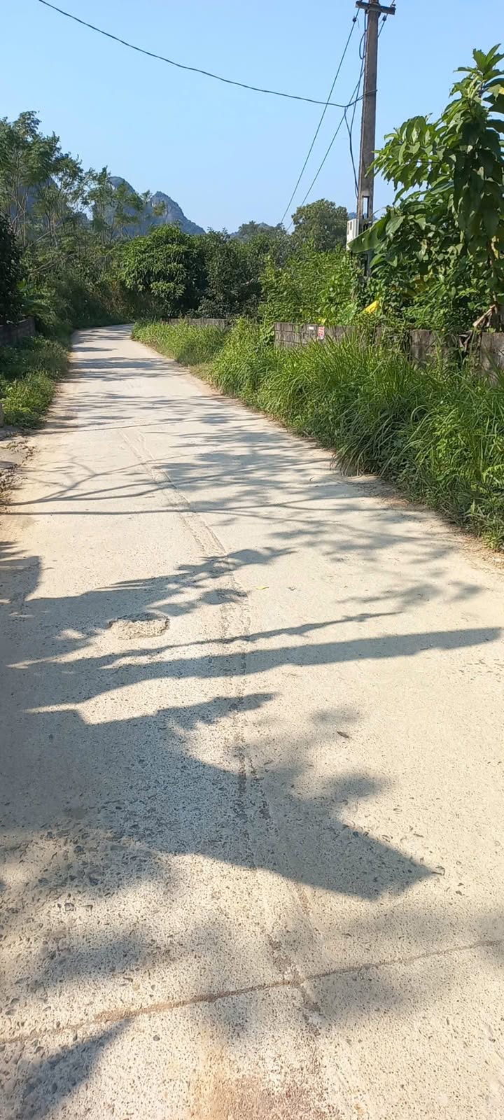 Đất nền Cao Dương Lương Sơn 123m² giá thỏa thuận - Cắt lỗ gấp, cơ hội không thể bỏ lỡ!