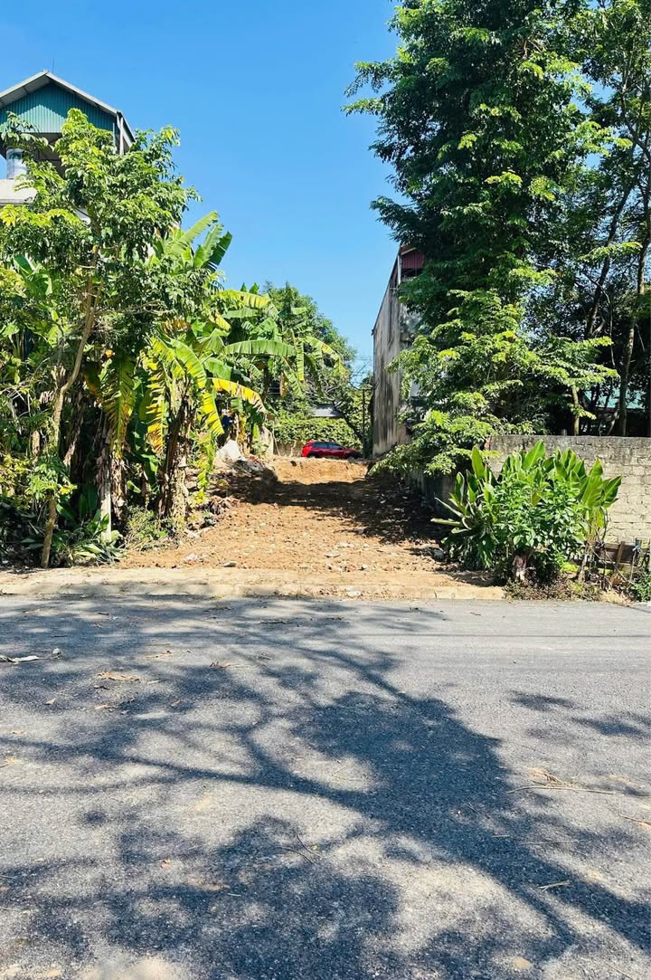 Đất nền Kim Long, Tam Dương 73m² chỉ 1.1 tỷ - Cơ hội đầu tư không thể bỏ lỡ!