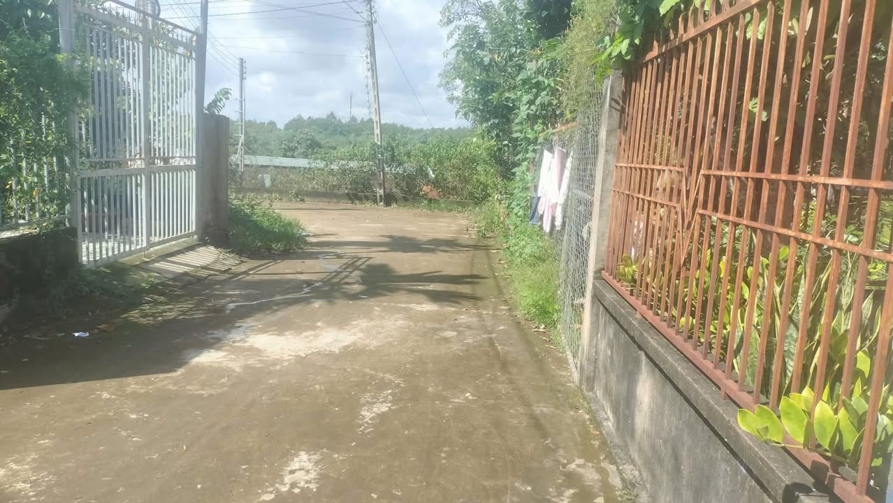 Đất nền Tân Phú Đồng Xoài 225m² giá chỉ 1.3 tỷ - Cơ hội đầu tư lý tưởng!