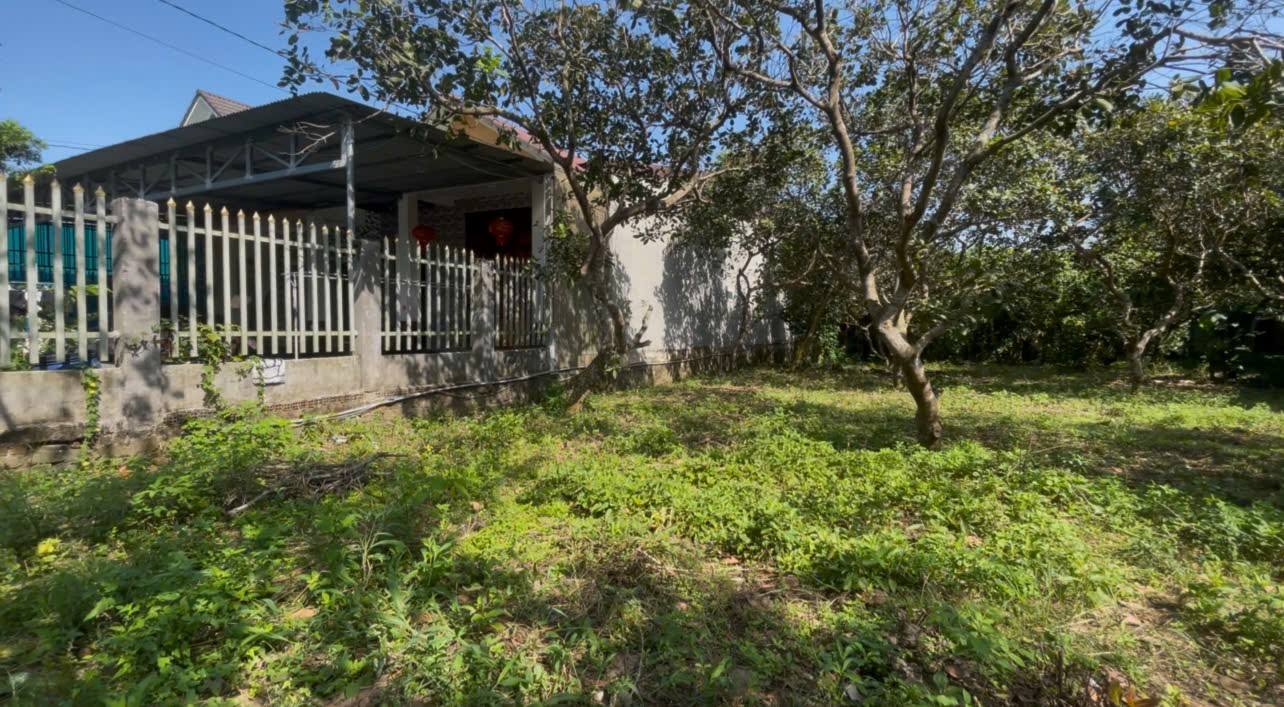 Đất vườn Hưng Lộc Thống Nhất 605m² giá 2.2 tỷ - Sổ đỏ thổ cư, quy hoạch đất ở!