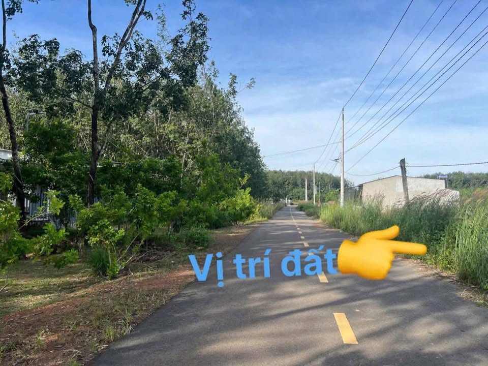 Đất nền Tân Phước 180m² chỉ 300 triệu - Cơ hội đầu tư tuyệt vời!