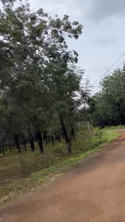 Đất nền Bù Đăng Bình Phước 20.000m² - Cơ hội đầu tư hấp dẫn!