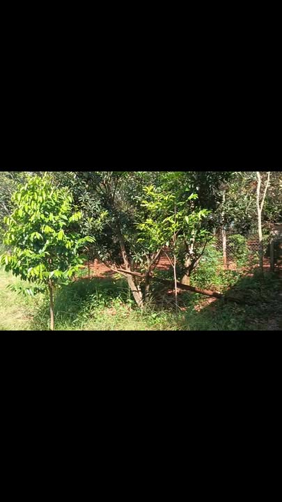 Đất nền Thống Nhất Bù Đăng 480m² giá 1.35 tỷ - Cơ hội đầu tư tuyệt vời!