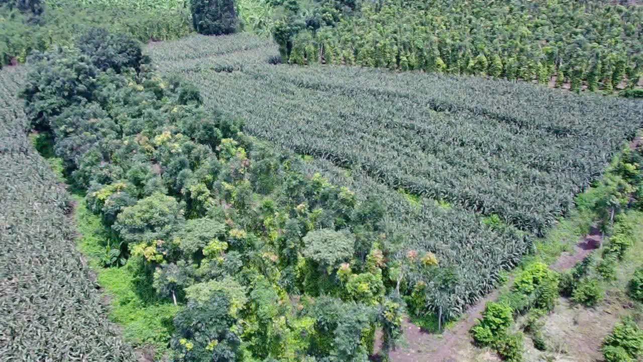 Đất nền Cẩm Mỹ Đồng Nai 10,800m² giá chỉ 890 triệu - Sổ hồng chính chủ!