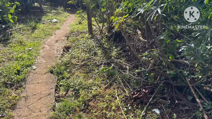 Lô rẫy cà phê Đắk Sin 1,7ha giá 4 tỷ - Đất đẹp 3 mặt đường ngay trung tâm!