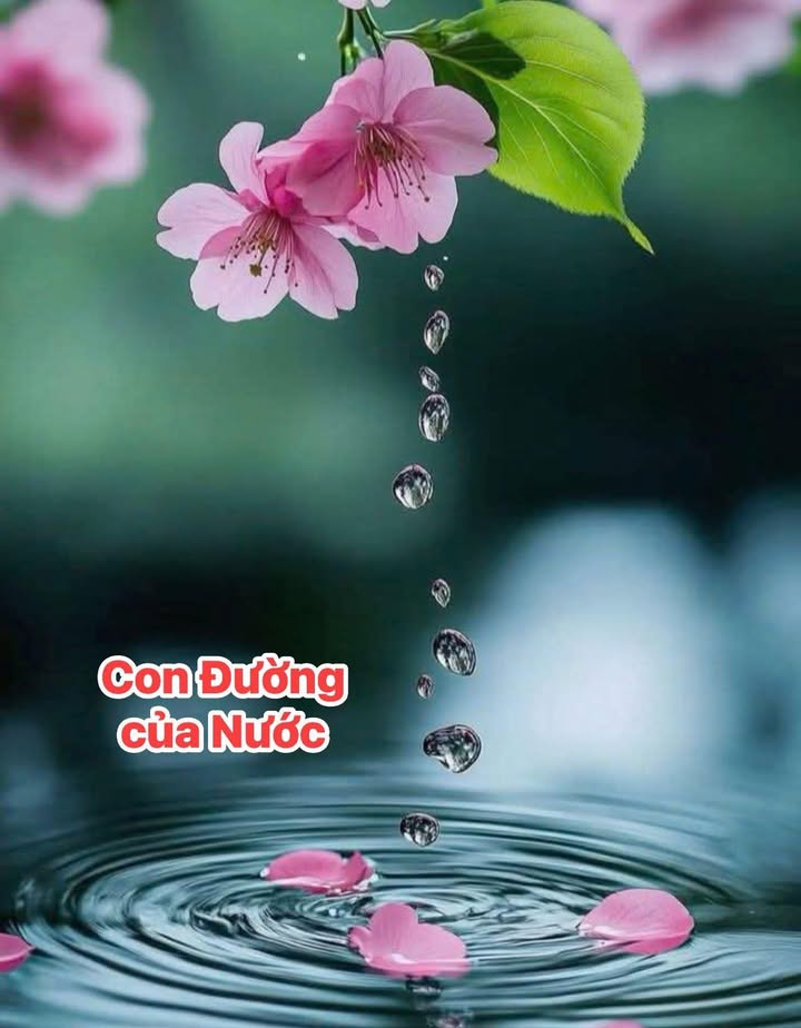 Đất thổ cư Ea Kmút 256m² giá 300 triệu - Vị trí thuận lợi gần trục đường chính