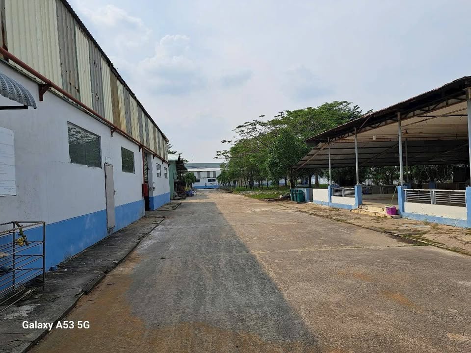Nhà xưởng mặt tiền TL824, Lương Bình, Bến Lức 13000m² giá 65 tỷ - Đầu tư sinh lời ngay!