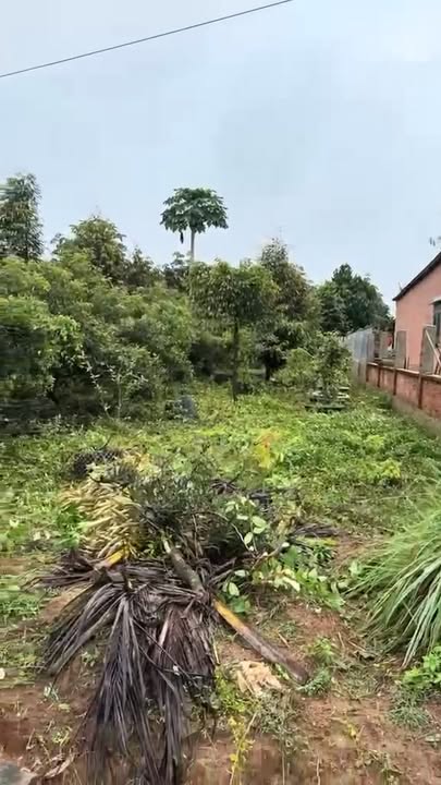 Đất nền An Linh Phú Giáo 500m² giá 600 triệu - Cơ hội đầu tư tuyệt vời!