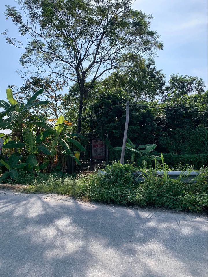 Đất thổ cư 100m² tại Quang Minh, Mê Linh - Kinh doanh sầm uất chỉ 5x triệu/m²!