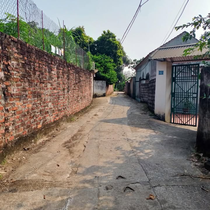 Đất nền Thanh Mỹ 100.8m² giá chỉ 900 triệu - Đầu tư sinh lời ngay!