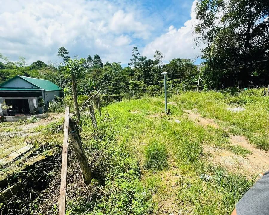 Đất kiệt ô tô Phùng Quán, Thủy Dương 100m² - Sổ đỏ chính chủ, chỉ 1 tỷ!