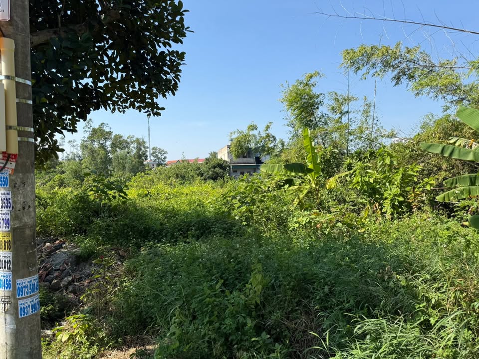 Đất nền Nam Khê Uông Bí 300m² giá 1 tỷ - Đầu tư lý tưởng gần ĐH Hạ Long!