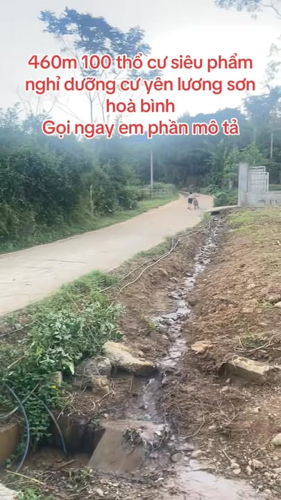 Đất nền Cư Yên Lương Sơn 460m² giá 2 tỷ - Mặt đường nhựa, lô góc đẹp!